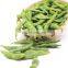 Sinocharm IQF Frozen Vegetable Soya Beans Frozen Soybeans Salted