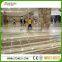 factory price onyx tile for flooring