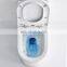Sanitary Ware Bathroom Ceramic Tornado two piece Wc Toilet Bowl