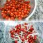 Best Selling PICKLED CHERRY TOMATOES