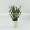 Artificial ornamental plants artificial aloe with competitive price