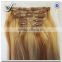 Wholesale top quality piano color silky straight 100% brazilian virgin human hair