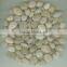 high degree polished Pebble Stones with discount price