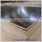 hardwood plywood black film face