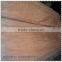 rotary cut Tang wood veneer with cheap price for 0.5mm