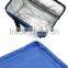 Portable functional oxford insulated cooler bag                        
                                                Quality Choice