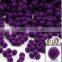 100-Piece X 1/2" Hot Assorted Colors Pom Poms
