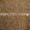 stone chips for construction for decoration paving