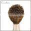 100% Brazilian virgin human hair wig, short curly style front lace wig from Ceres factory