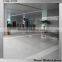 Chinese local Blue color floor&wall granite tiles 60x60