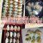 Russia Small Rice Frozen Automatic Dumpling Machine