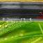 CE agriculture melt flow type dripirrigation PE tape