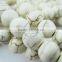 8MM round turquoise white ivory stone beads,ivory loose beads,ivory beads strand 3120001