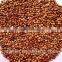 Red Sorghum With Good Manufacturer