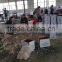 Fresh Garlic Supplier In China