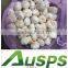 china garlic exporter