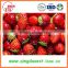 Export 25-35mm A13 Chinese Best quality Whole Fresh Strawberry