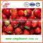 Bulk High quality chinese Fresh Strawberry