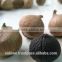 High Quality Single Clove Black Garlic made in Vietnam