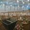 Steel Frame Type and Steel Material Metal Poultry Shed/galvanized Chicken Equipments Shed /chicken House Shed
