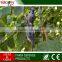 New arrival garden hunting decoy decor emulation plastic pigeon for made in China