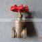 Bronze valve