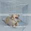 hot wire dog fence