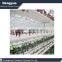 Agricultural soilless vertical Seeds Grow Sponge Germination Foam