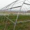 Tunnel greenhouse