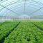 Tunnel Greenhouses With Supporting Systems
