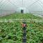 High Quality Pop-up Sprinkler for Irrigation System
