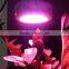 bridgelux epistar 135w led full spectrum light bulb grow light