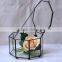 Micro indoor deocr landscape vase indoor plant glass terrarium