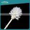 Toprank Amazon Hot Selling Plastic Cleaning Flush Toilet Brush Set Bristle Toilet Brush With Holder