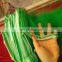 Round silk HDPE mesh fruit bag wholesaler