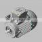 WEG brand W21 series high efficiency IE5 permanent magnet synchronous motor