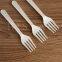Disposable biodegradable dessert fruit fork
