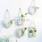 dropshopping hot sale water plant glass vase pendant  plant wall decoration creative home wall decoration flower basket pendant