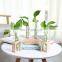3pcs set Glass Air Planter Bulb Test Tube Plant Terrarium wood plant stand wooden shelf