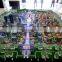 master urban planning model for government bidding , 3d model city