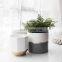 Custom Bonsai Modern Gold indoor outdoor garden ceramic succulent Planter Plant Flower Pot with Drainage Hole for Home decor
