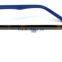 newest trendy optical frame and special design eyewear and Fashion Acetate Eyeglasses