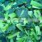 Sinocharm New Season BRC A Approved Non-Worm Green Vegetable IQF Bok Choy