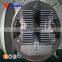 LG200 Freeze drying machine for fruit and vegetables