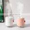 Oem Amazon Top Seller Hava Nemlendirici Luftbefeuchter Facial Mist Sprayer H2o Mini Ultrasonic Air Diffuseur Humidifier