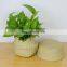 Natural plant pots seagrass basket planter ecor friendly seagrass woven style belly basket seagrass