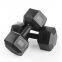 One-piece Molded Hexagonal Rubber Dumbbell