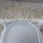 New products 2016 Angel style PP plastic restaurant chair