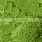 Organic Moringa leaf powder Bulk Producers