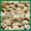 Arabica Green coffee bean export